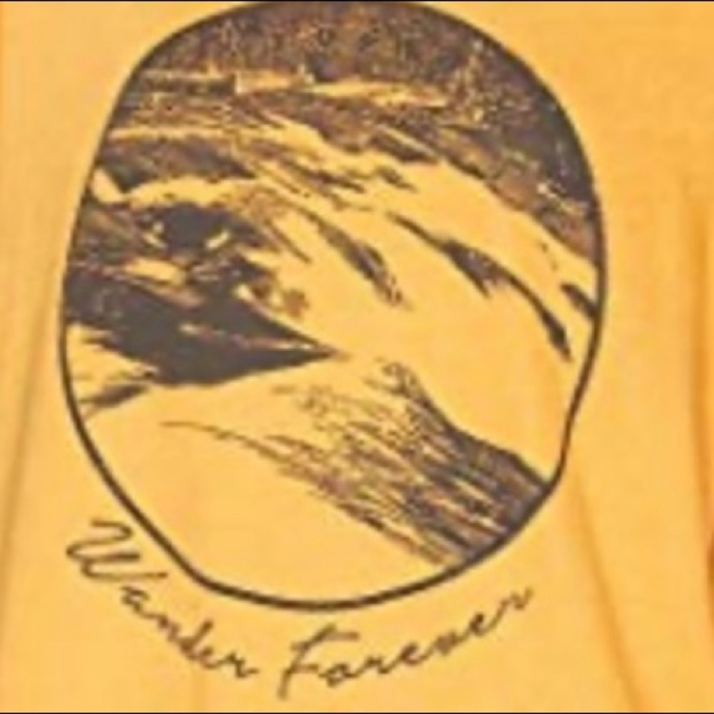 🔥BILLABONG🔥WANDER FOREVER DISTRESSED TEE SHORT SLEEVE T-SHIRT BURNT ORANGE MED - Picture 2 of 2